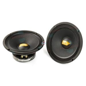 Динамики ACV SV-200PRO (2шт)