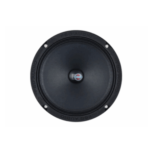 Динамики FSD Audio Standart 160L