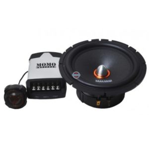 Динамики Momo US-310