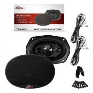 Динамики CarLive TS-A6975