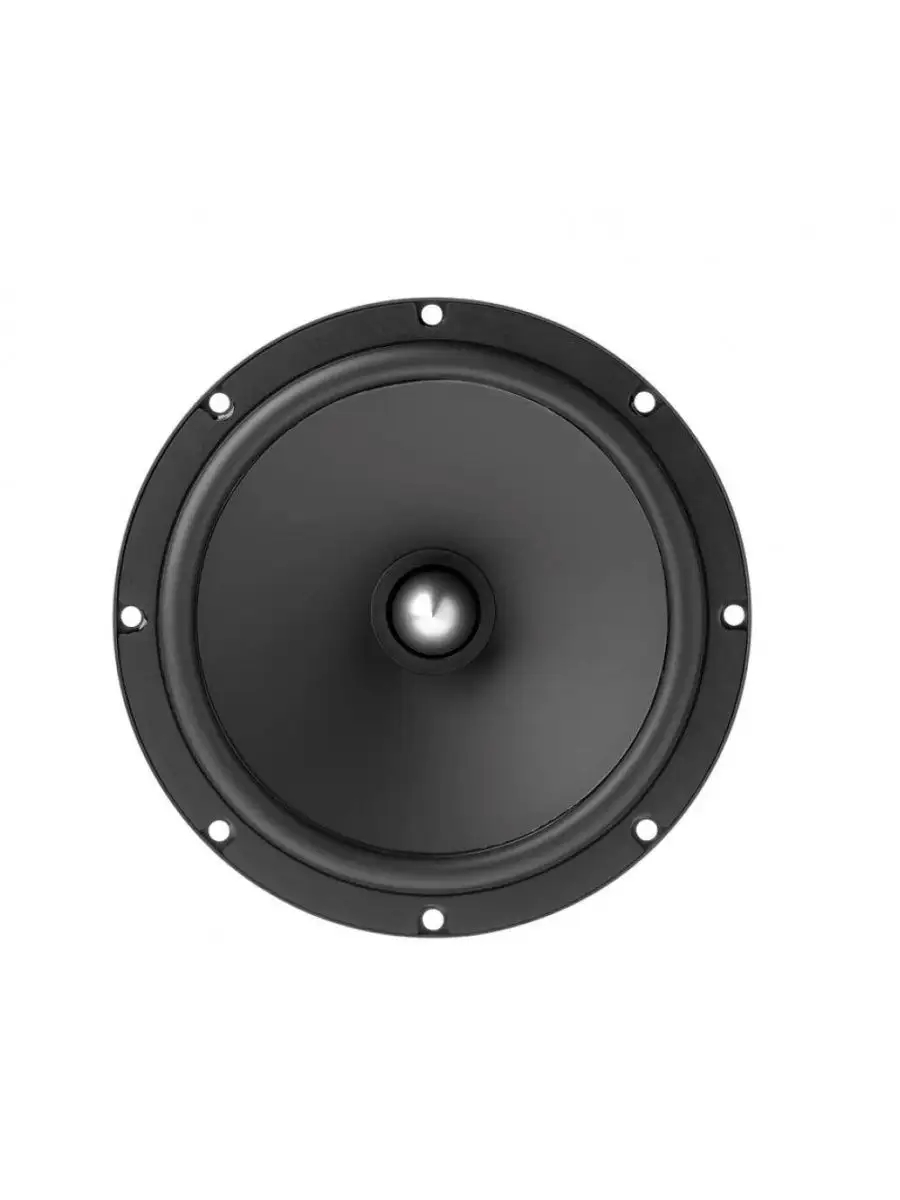Динамики Focal Auditor ACX-165S 2 Динамики Focal Auditor ACX-165S — изображение 2